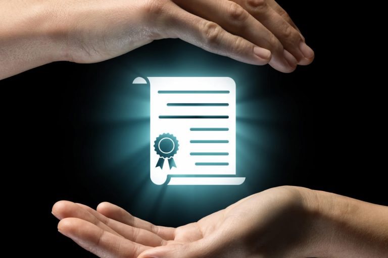 Opleidingen en ervaring